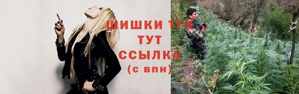 спиды Ельня