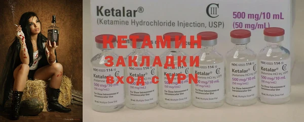 спиды Ельня