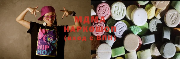 спиды Ельня