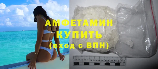 спиды Ельня