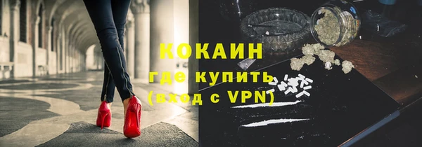 спиды Ельня