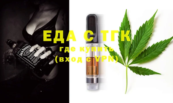 спиды Ельня