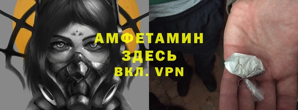 спиды Ельня