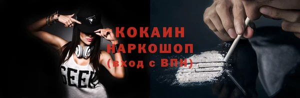 спиды Ельня