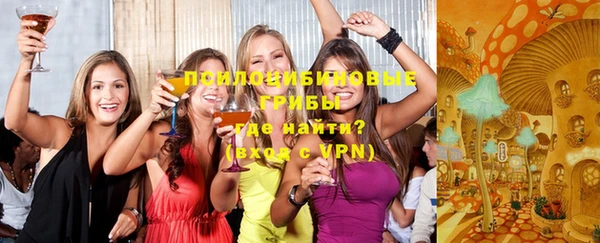 спиды Ельня