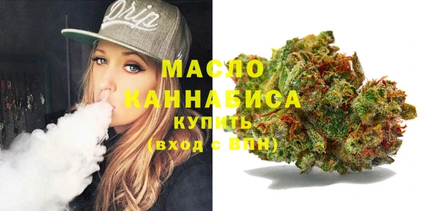 спиды Ельня