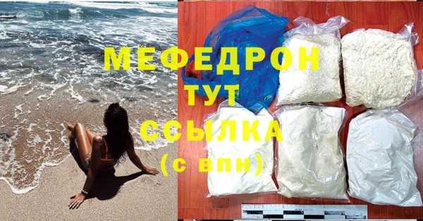 спиды Ельня