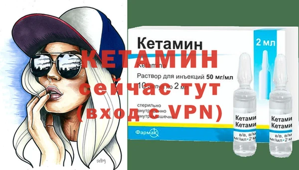 спиды Ельня