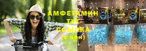спиды Ельня