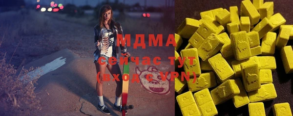 спиды Ельня
