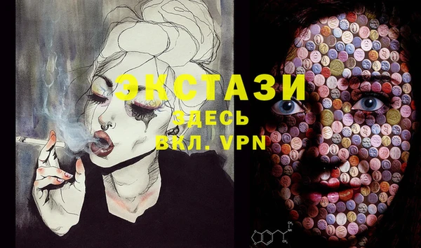 спиды Ельня