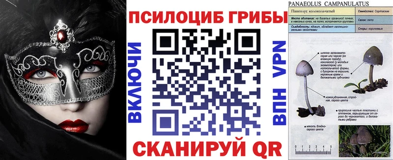 Псилоцибиновые грибы Cubensis Ржев