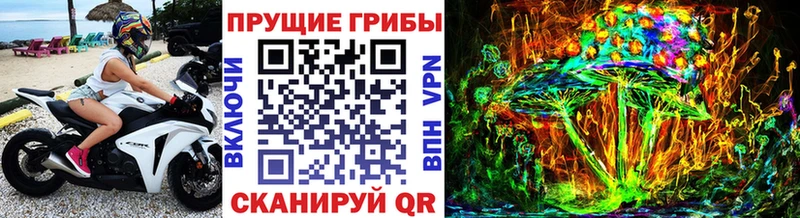 Купить  Ржев  Галлюциногенные грибы Psilocybe 